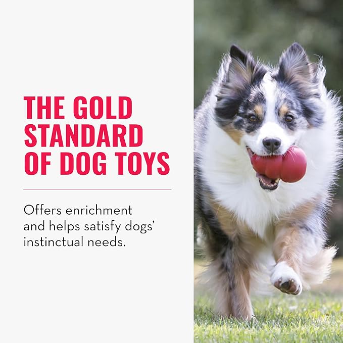 KONG Classic Stuffable Dog Toy - Fetch & Chew Toy for Dogs - Treat-Filling Capabilities & Erratic Bounce for Extended Play Time - Durable Natural Rubber Material - for Extra Small Dogs