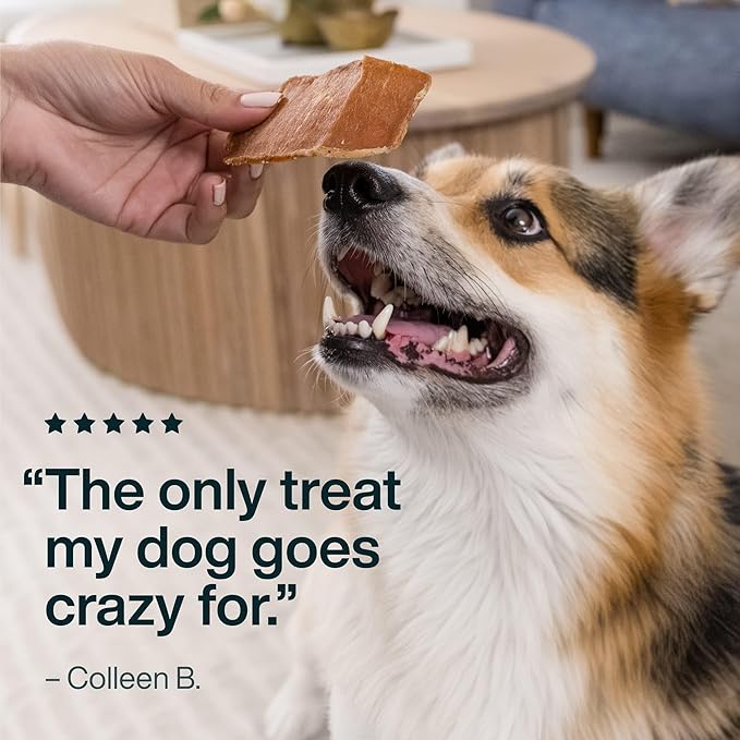 JustFoodForDogs Single Ingredient Healthy Dog Treats and Dog Snacks, Jerky Treats, Human Grade, Preservative and Grain Free, Rawhide Free Chews, Low Calorie Treat - Pumpkin, 5 oz