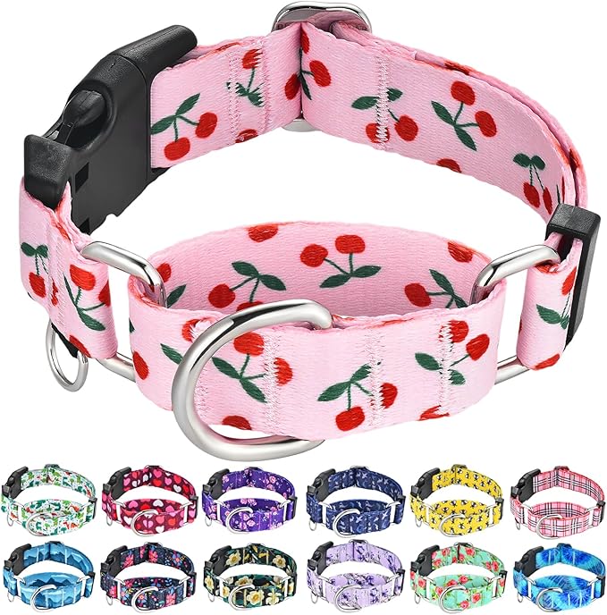 Martingale Collar for Small Dogs with Buckle No Pull Cute Girl Pink Dog Collars (Cherry, Small)