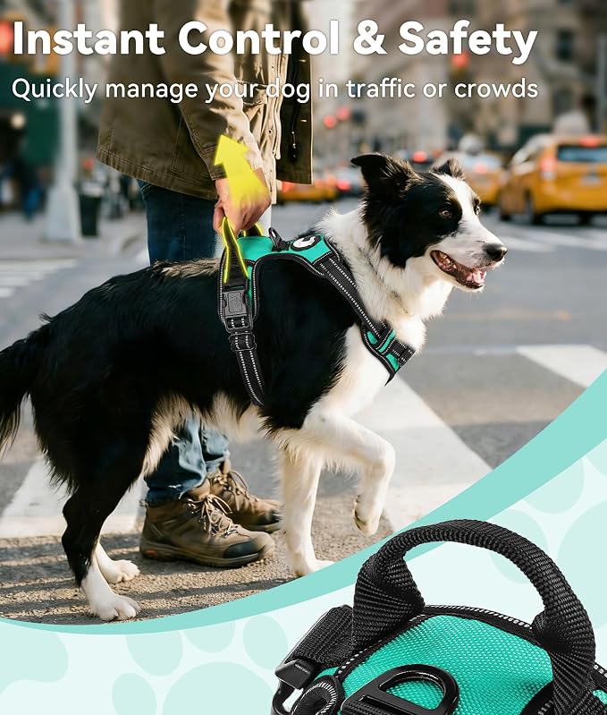 Joytale No Pull Dog Harness for Large Dogs, Reflective Pet Vest with Front Clip, Adjustable Soft Padded Harnesses with Easy Control Handle for Training and Walking, Teal, L