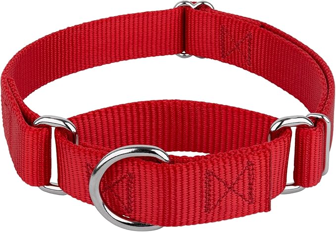 Country Brook Petz - Martingale Dog Collar - Heavy-Duty Training Collar with No Buckle - Service Dog Collar for All Pups - 20 Vibrant Colors (Red, 3/4 Inch, Small)