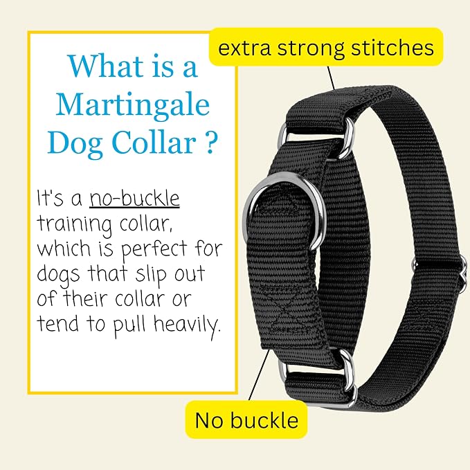 Country Brook Petz - Martingale Dog Collar - Heavy-Duty Training Collar with No Buckle - Service Dog Collar for All Pups - 20 Vibrant Colors (Black, 1 Inch, Extra Large)