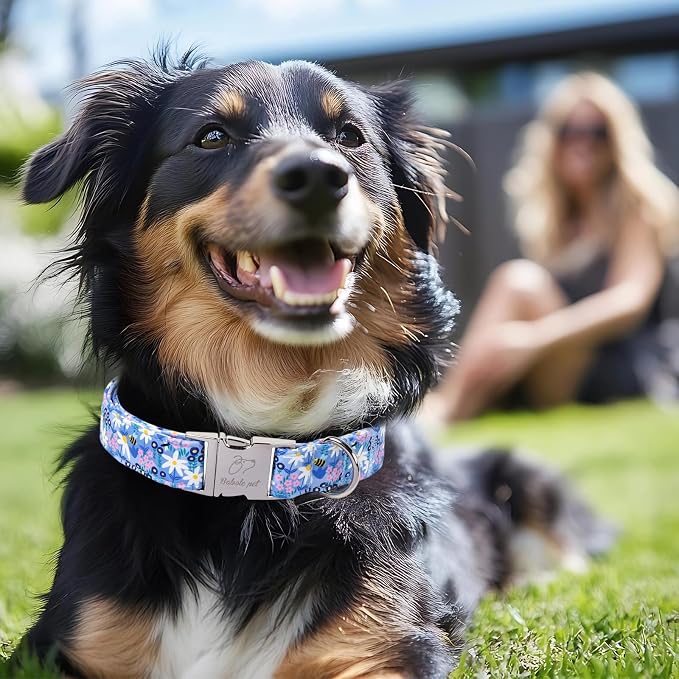 Floral Dog Collar, Cute Blue Wildflowers Dog Collars - Soft Adjustable Spring Summer Everyday Collars for Small Medium Large Dogs, Cottagecore Bloom Dogs Collar XL
