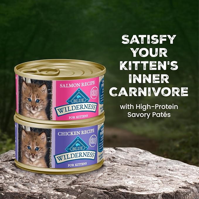 Blue Buffalo Wilderness Kitten Grain-Free Chicken Paté & Salmon Paté Wet Cat Food with DHA, High-Protein & Made with Natural Ingredients, Supports Healthy Growth & Development, 3-oz. Each (6 Count)