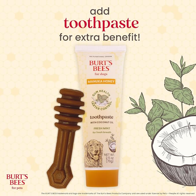 BURT'S BEES FOR PETS Dental Treats for Dogs with Manuka Honey & Ginger, 98% Natural Origin, Holistic Oral Care, Freshens Breath, Sweet Potato Flavor, Small Size, 10 ct, 6.8 Oz