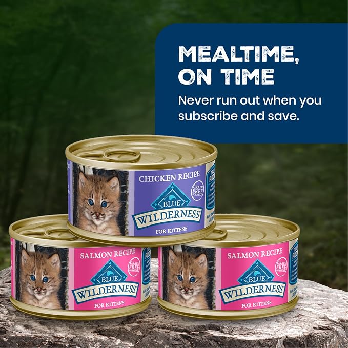 Blue Buffalo Wilderness Kitten Grain-Free Chicken Paté & Salmon Paté Wet Cat Food with DHA, High-Protein & Made with Natural Ingredients, Supports Healthy Growth & Development, 3-oz. Each (6 Count)