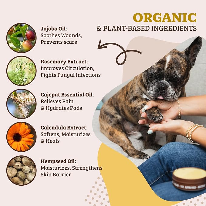 Natural Dog Company Paw Soother Dog Paw Balm – Moisturizes Dry Cracked Paws After Walks, Hot Pavement, Beach Sand, Hiking & Outdoor Play with Coconut Oil & Calendula, Daily Paw Care, 4 oz Tin