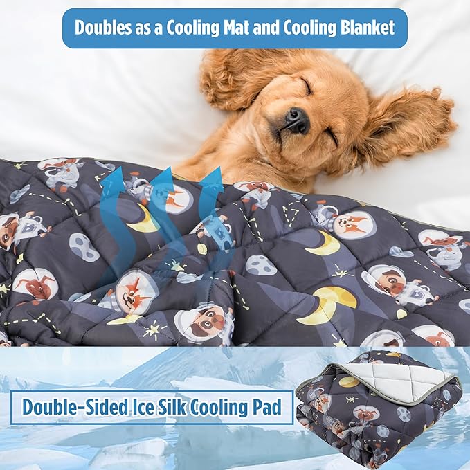 Paw Legend Dog Cooling Mat for Dogs Cat Cooling Pad for Dog Mat Blanket Summer Cool Tech Fabric Washable Sleeping Pad on Kennel Sofa Bed Floor Car Seats, Small