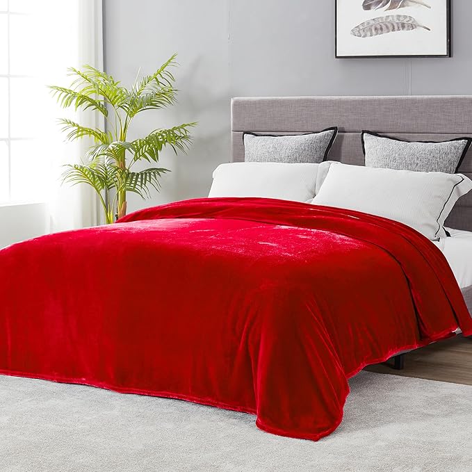DREAMNINE Ultra Large Soft Fuzzy Flannel Fleece Blanket Queen Size 90" x 90", Decorative Solid Lightweight Fluffy Velvet Bed Blanket,Luxury Big Cute Cozy Shag Plush Microfiber Blankets for Bedroom,Red