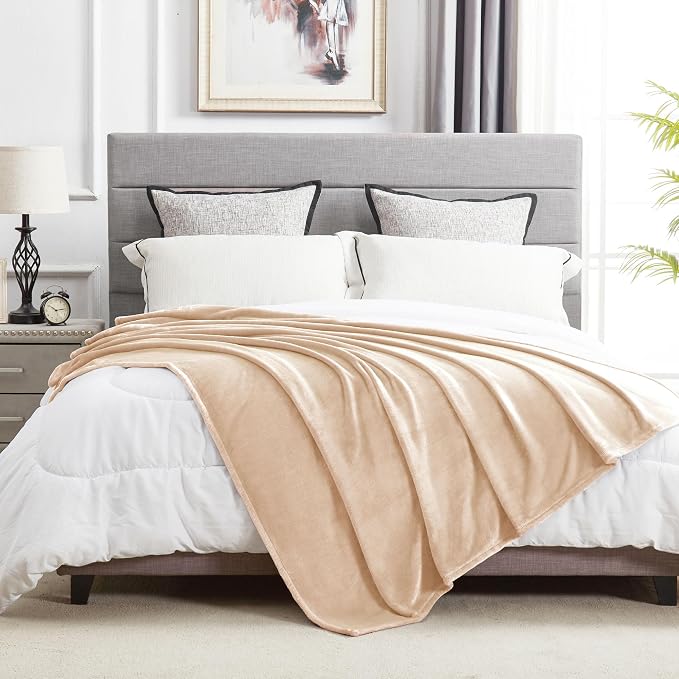 DREAMNINE Super Soft Fuzzy Fleece Throw Blanket for Couch Sofa 50" x 60", Decorative Solid Lightweight Velvet Blanket for Chair, Cozy Accent Shaggy Micro Plush Flannel Blankets for Bedroom Dorm, Beige