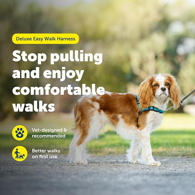 PetSafe Easy Walk Deluxe Dog Harness, No Pull Dog Harness Perfect for Leash & Harness Training Stops Pets from Pulling and Choking on Walks Small, Ocean