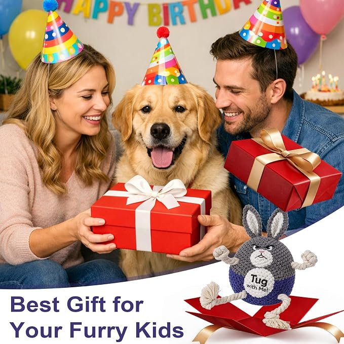 BABORUI Interactive Dog Toys, Easter Squeaky Dog Rope Toys with Recording and Music Modes, Dogs Tug Toy for Small/Medium/Large Dogs to Keep Them Busy (Blue Bunny)