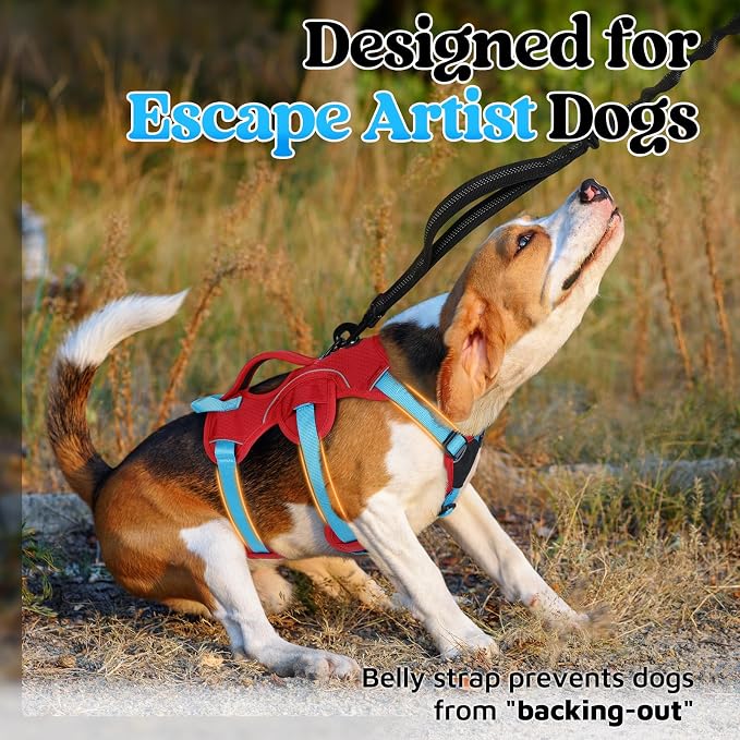 rabbitgoo Escape Proof Dog Harness Large Dogs, Soft Padded Full Body Pet Harness, Reflective Adjustable No Pull Vest with Lift Handle and Leash Clip for Walking Hiking Training, Blue & Red, S