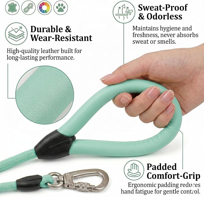 Rope Dog Leash, Macaron Colors Dog Leash, Comfortable Leather Handle, Resistant to Dirt and Bite, Strong Nylon Pet Lead for Small, Medium, Large Dogs (Mint Green, 5 Feet)