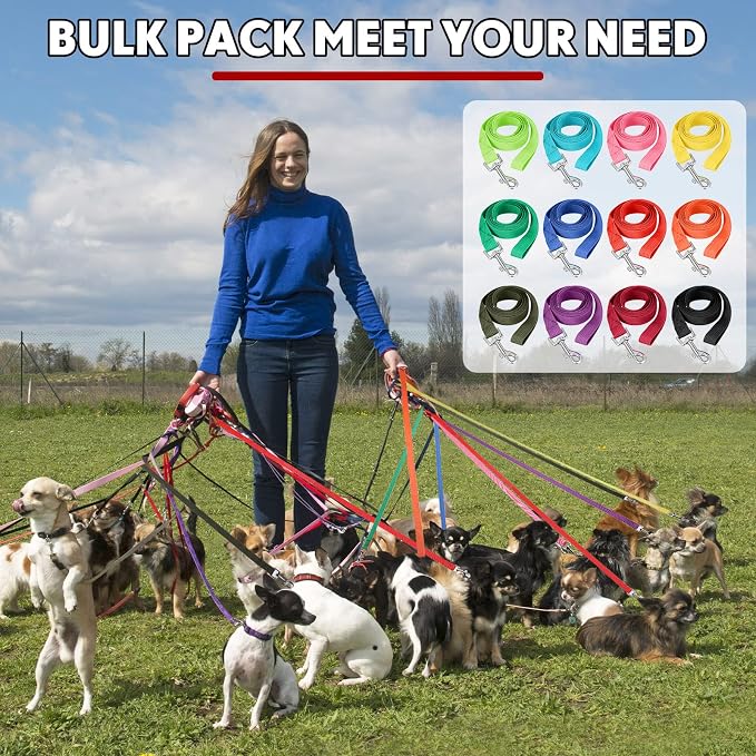 Hillban 12 Pcs Nylon Puppy Training Leash Bulk 5ft Dog Leash for House Line 12 Colors Puppy Line Traction Rope for Small Medium Dog Training, Play, Camping, or Backyard(Bright Colors)