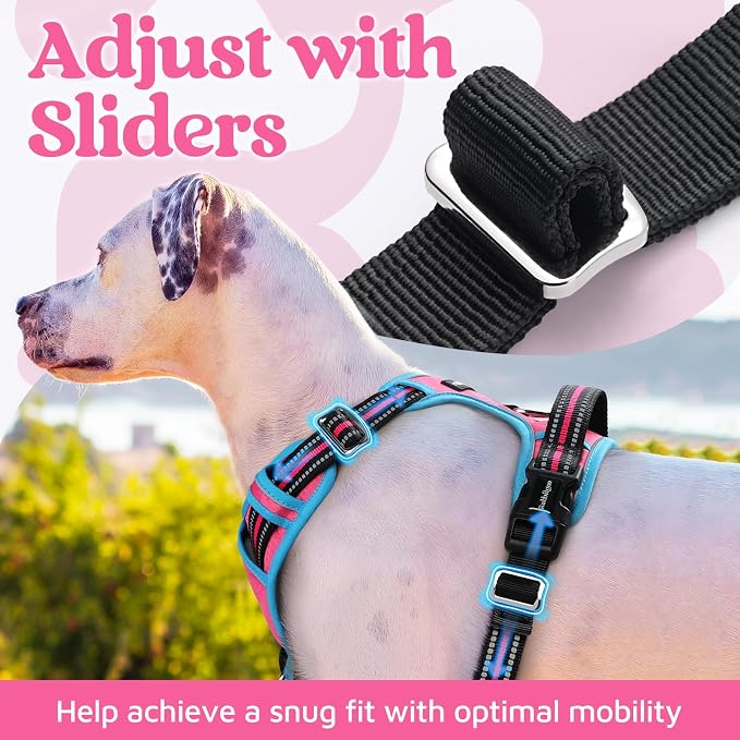 rabbitgoo Dog Harness Medium Sized, 3 Buckles Easy On & Off No Pull Pet Vest, Soft Padded Walking Pet Harness with Control Handle, Adjustable and Reflective, Rose Pink & Blue, M