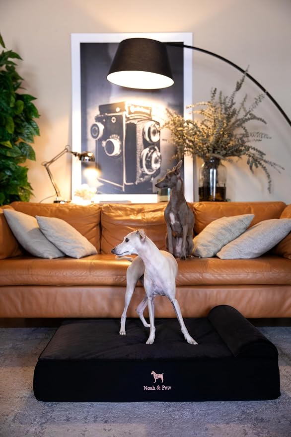 NOAH & PAW Large Dog Bed, 35x25x8.7 Inch, Orthopedic Dog Beds, Eggshell Memory Foam Infused with Cooling Gel, Water Resistant, Machine Washable, Includes Inner Cover (Denim Collection)