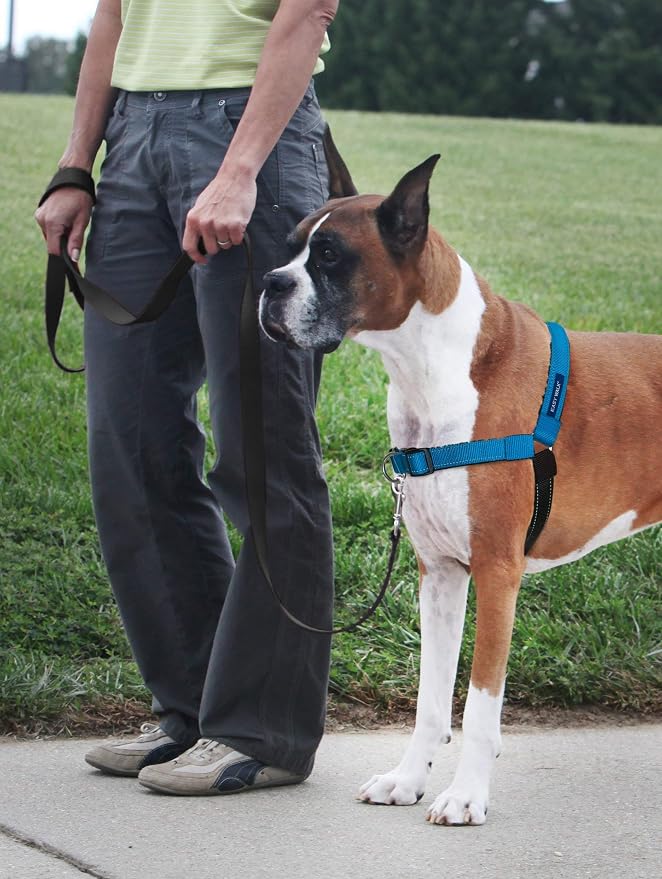 PetSafe Easy Walk Deluxe Dog Harness, No Pull Dog Harness Perfect for Leash & Harness Training Stops Pets from Pulling and Choking on Walks Large, Ocean