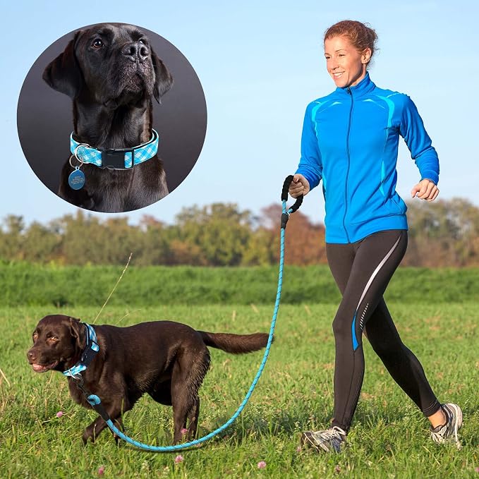 Ladoogo Reflective Dog Collar Padded with Soft Neoprene Breathable Adjustable Nylon Dog Collars for Small Medium Large Dogs (Large (Pack of 1), Vivid Blue Plaid Collar+Leash)