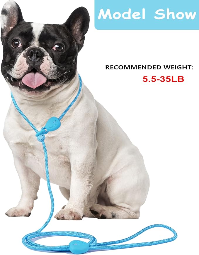 Slip Lead for Dogs 6FT Strong Training Leash Heavy Duty No Pull Comfortable Rope Lightweight for Small Medium Dogs (Blue)