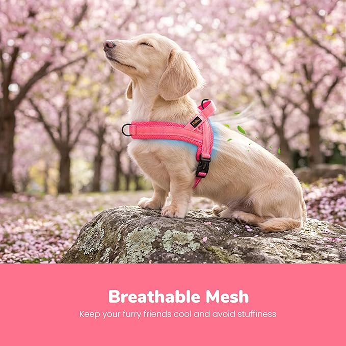 Didog No Pull Dog Harness with Breathable Mesh Padded,Reflective & Quick Fit Light Weight Dog Strap Vest Harness,Easy for Walking Training (XS:Chest 15-18", Pink)