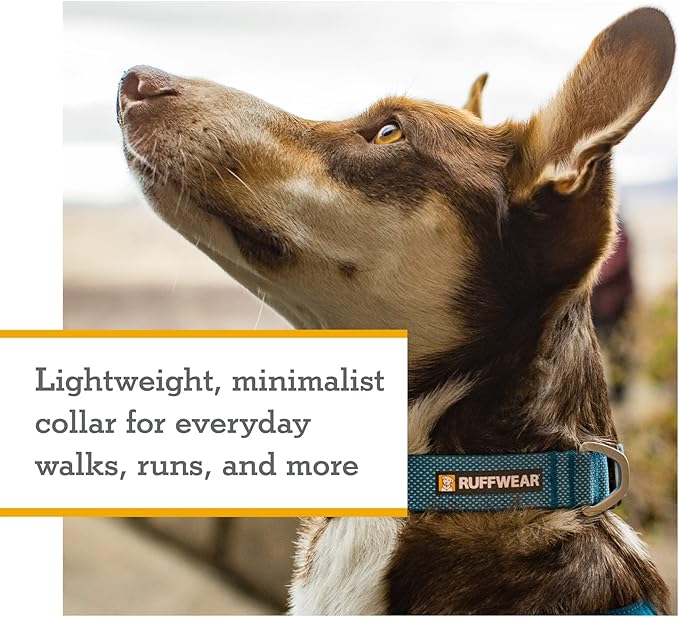 Ruffwear, Hi & Light Dog Collar, Ultralight Quick Release Buckle, Adjustable Trail Running Polyester Collar with Silent ID Attachment, Sage Green, 11"-14"