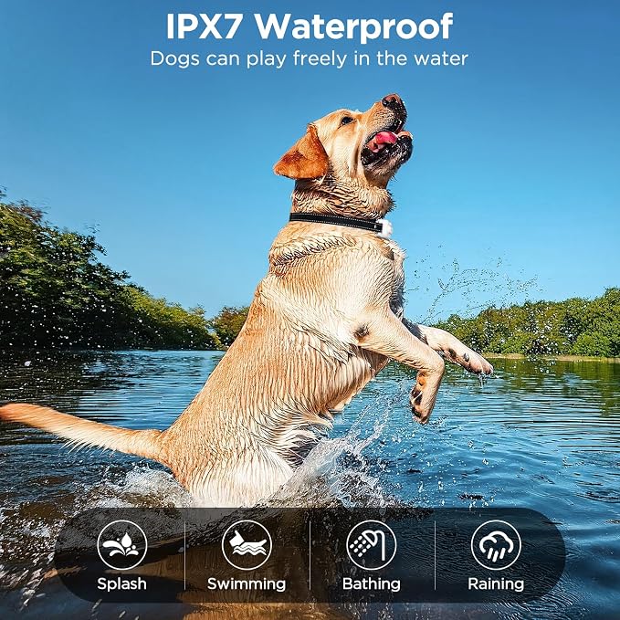 Dog Shock Collar 2 Dogs, 3300ft Dog Training Collar with Remote, IPX7 Waterproof Rechargeable Sleek Modern for All Dogs with Beep, Vibration, Safety Shock, Light Mode, 8-120 lbs NF