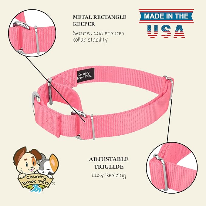 Country Brook Petz - Martingale Dog Collar - Heavy-Duty Training Collar with No Buckle - Service Dog Collar for All Pups - 20 Vibrant Colors (Pink, 3/8 Inch, 3XS)