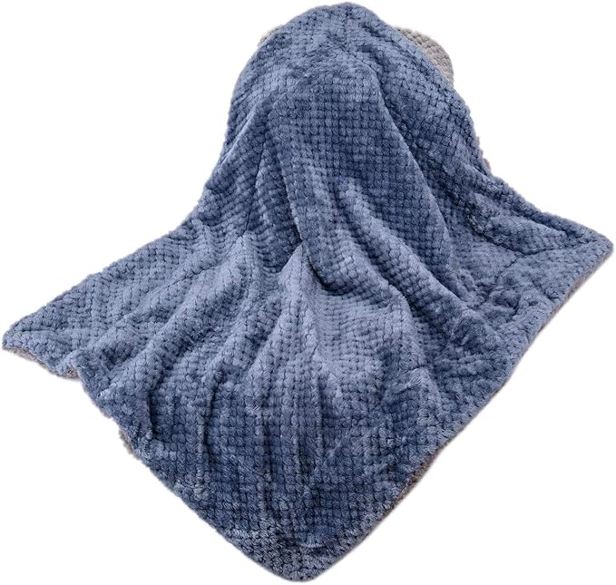 DG Plush Fleece Receiving Blanket for Dog, Cat, Pet - Warm & Soft, Couch, Sofa, Travel & Outdoor, Camping (24" x 32"), Smoked Blue