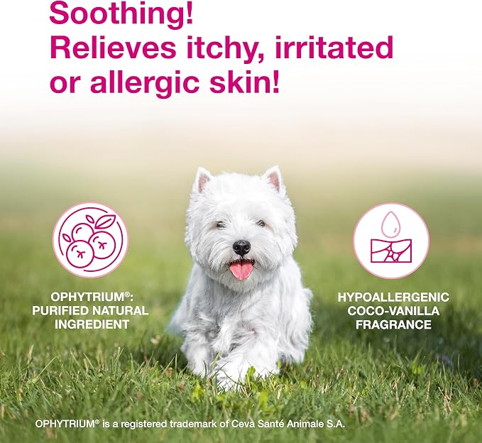 Douxo S3 Calm Dog Shampoo for Itchy Skin Relief, Dog Shampoo for Allergies and Itching, Soothes Itchy, Irritated or Allergic Skin For Dogs and Cats, 16.9 fl oz
