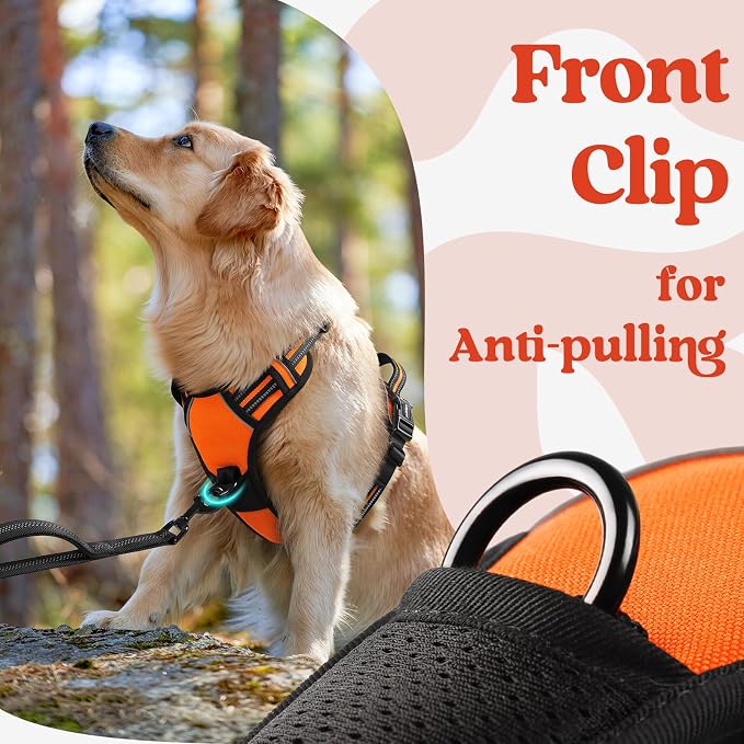 rabbitgoo Dog Harness Small Sized, No Pull Easy On & Off with 3 Buckles Pet Harness, Adjustable Soft Walking Vest with 2 Clips and Handle, Reflective for Small Dogs, Orange, S