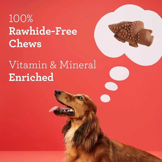 DreamBone Chicken DinoChews Dog Treats, Daily Rawhide-Free Chew, Digests Safely and Completely, With Real Protein, Chicken and Veggies, 14 count