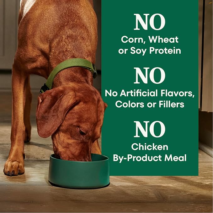Nutro Natural Choice Senior Dog Food Dry Recipe, Chicken and Brown Rice Recipe, Dry Dog Food, 13 lb. Bag