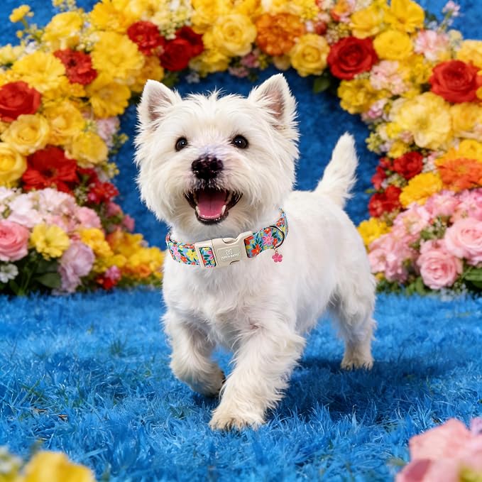 Maca Bates Flower Basic Dog Collar with Blossom Charm for Large Girl Boy Dogs, Hand-Painted Floral Pattern,Pretty Adjustable Durable Soft Flowers Collars Spring Summer Gift for Male Female Puppy