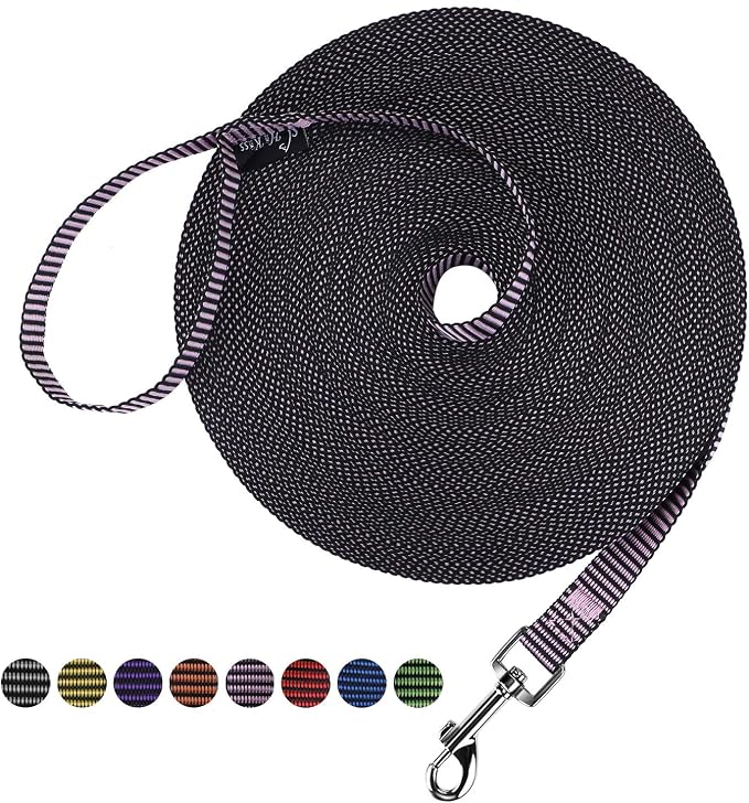 Hi Kiss Dog/Puppy Obedience Recall Training Agility Lead - 15ft 20ft 30ft 50ft 100ft Training Leash - Great for Training, Play, Camping, or Backyard(30ft,BL+PK)