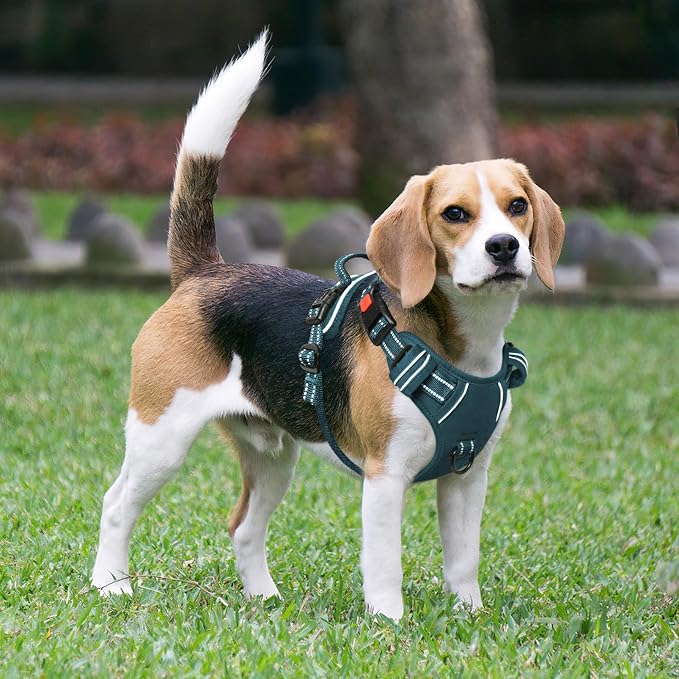 Timos Dog Harness Medium Sized, No Pull Pet Harness with Neck Lockable Snap, No Choke Front Clip Reflective Vest, Adjustable Metal Rings 3 Buckles, Easy Control Handle for Medium Dogs Blackish Green M