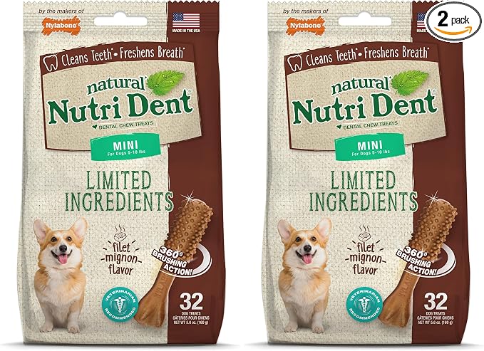 Nylabone Nutri Dent Dog Dental Chews - Natural Dog Teeth Cleaning & Breath Freshener - Dental Treats for Dogs - Filet Mignon Flavor, Mini (32 Count) (Pack of 2)