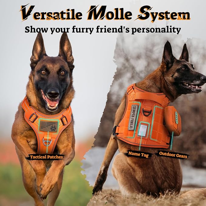 rabbitgoo Tactical Dog Harness for Large Dogs No Pull Adjustable Military Vest with Handle MOLLE Reflective Heavy Duty Dog Vest for Walking Training Hunting Outdoor Working Medium Size Dog Orange L