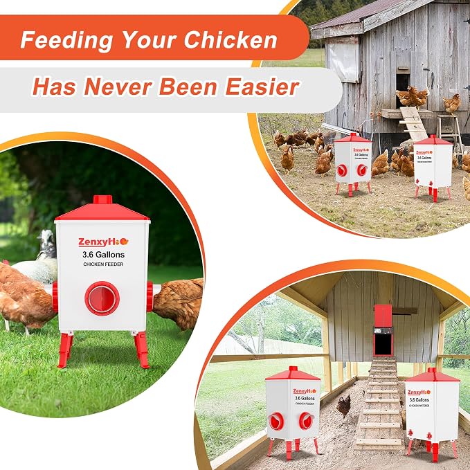ZenxyHoC Chicken Feeders and Waterers, 8 Ports Chicken Feeder No Waste and 8 Packs Chicken Water Nipples