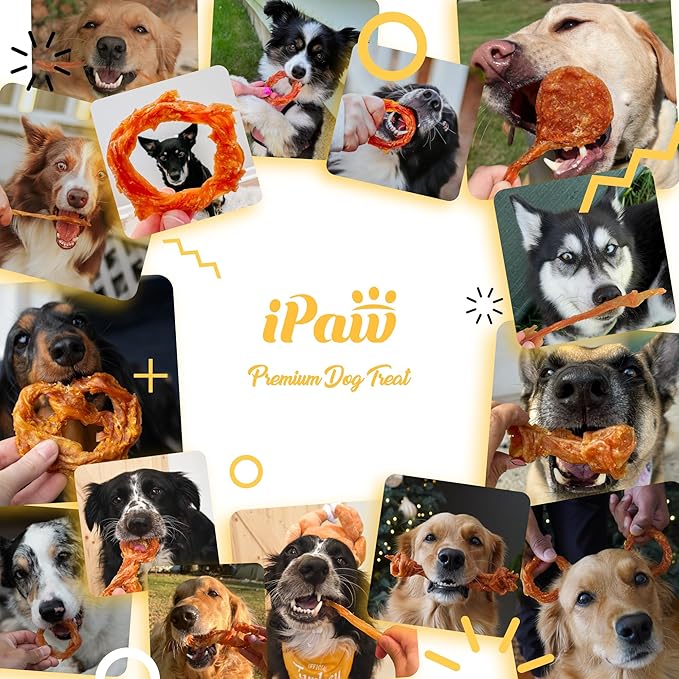 iPaw 5 Packs Value Combo Turkey Tendons for Dogs, Single Protein, Hypoallergenic, All Natural Human Grade Puppy Chew, Rawhide Alternative Dog Treats, Strip (Large)