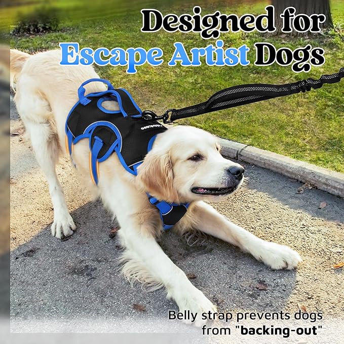 rabbitgoo Escape Proof Dog Harness Large Dogs, Soft Padded Full Body Pet Harness, Reflective Adjustable No Pull Vest with Lift Handle and Leash Clip for Walking Hiking Training, Blue & Black, XL