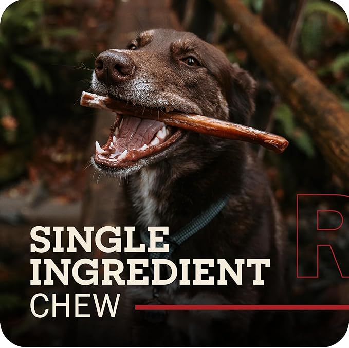 Redbarn Pet Products All Natural 4-5" Bully Sticks for Small & Medium Dogs - Healthy Long Lasting Chews Variety Party Pack - 100% Beef Single Ingredient Low Odor Rawhide Free - Bag, 12oz