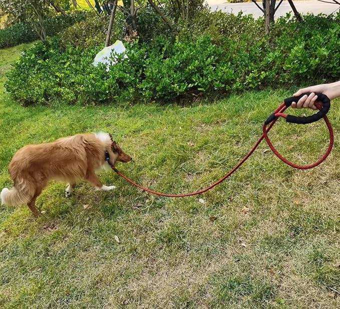 MayPaw Heavy Duty Rope Dog Leash, 3/4/5/6/7/8/10/12/15 FT Nylon Pet Leash, Soft Padded Handle Thick Lead Leashes for Large Medium Dogs (red Black, 1/2" * 8')