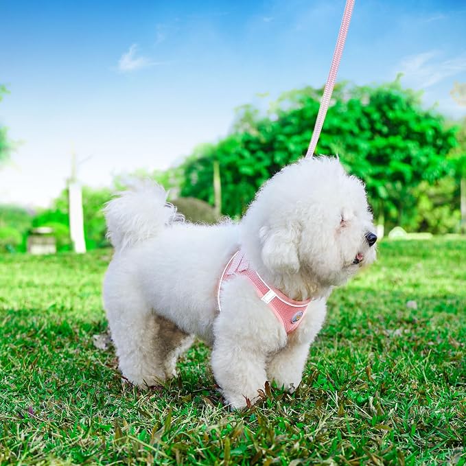 Hipubby Dog Harness and Leash Set, No Pull Soft Mesh Puppy Harness for Small Medium Dogs, Cats - Step in Reflective Breathable Lightweight Vest Harness for Walking, Training - Pink, L