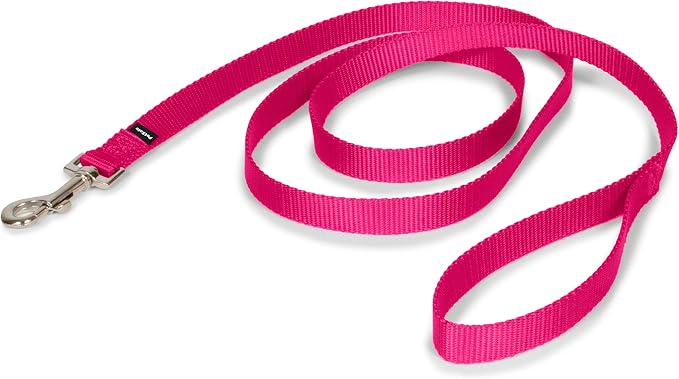 PetSafe Nylon Dog Leash Strong, Durable, Traditional Style Lead with Easy to Use Bolt Snap for Small, Medium and Large Dogs 3/4 in. x 6', Raspberry