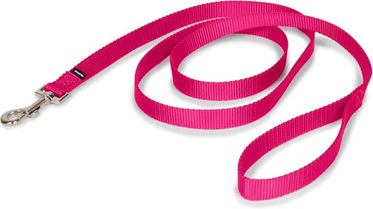 PetSafe Nylon Dog Leash Strong, Durable, Traditional Style Lead with Easy to Use Bolt Snap for Small, Medium and Large Dogs 3/4 in. x 6', Raspberry