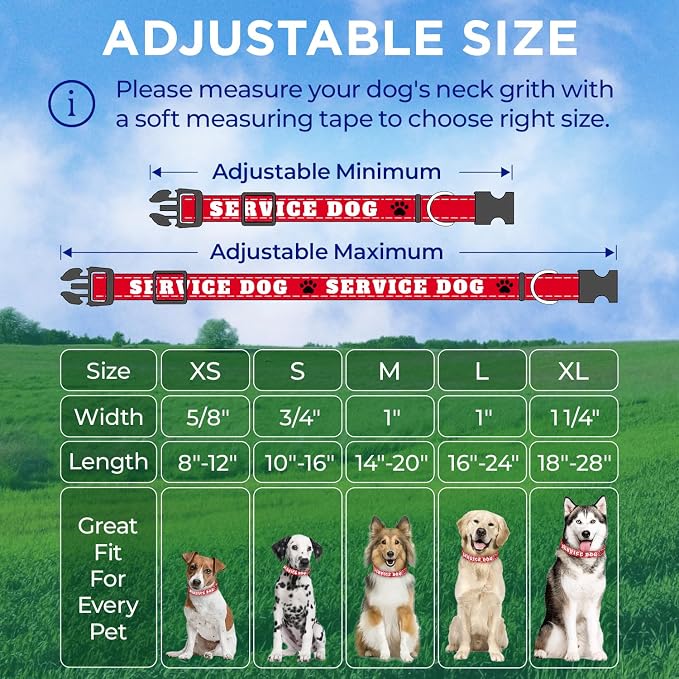 TECEUM Reflective Pet Collar – Red - Service Dog – XS – Extra Soft Padding – Basic Nylon Dog Collar – Quick Release Buckle – Fits Small, Medium and Large Dogs, Puppies, Cats