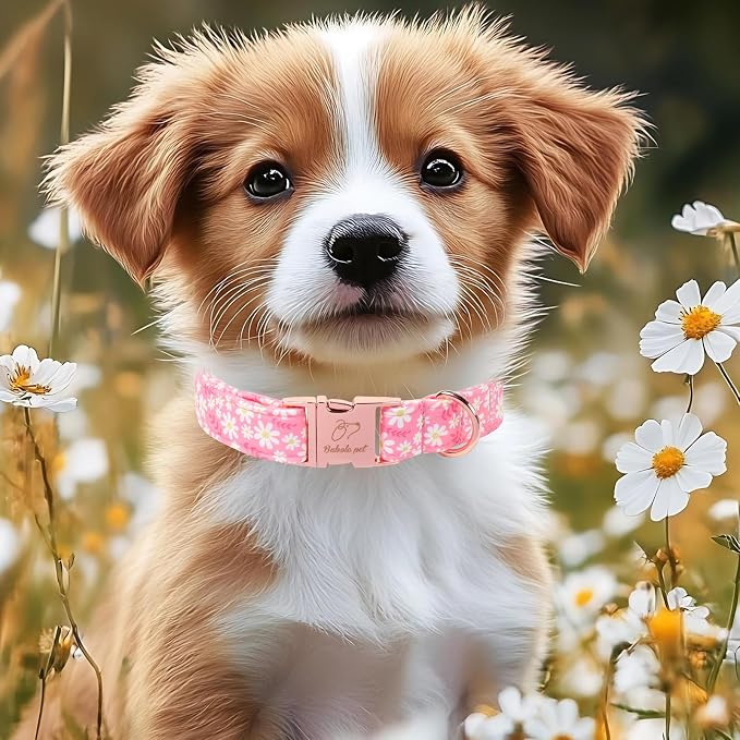 Dainty Daisy Dog Collar, Spring/Summer Pink Floral Girl Dog Collars, Adjustable Heavy Duty Cottagecore Female Dogs Collar for Small Medium Large Dogs with Metal Buckle L