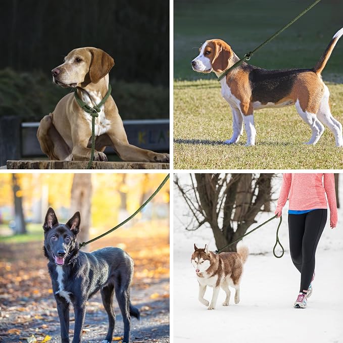 Lynxking Dog Leash Slip Lead Reflective Breathable Rope Comfortable Strong No Pull Slip On Pet Training Lead for Dogs (Dark Green, Small 3/8 inch x 6ft)