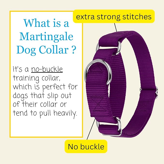 Country Brook Petz - Martingale Dog Collar - Heavy-Duty Training Collar with No Buckle - Service Dog Collar for All Pups - 20 Vibrant Colors (Purple, 1 Inch, Large)
